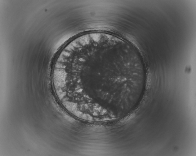 X0000111911071200908171257