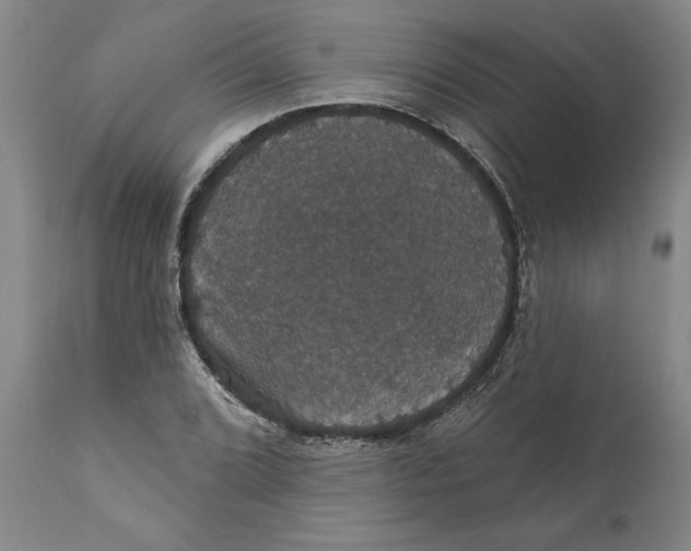 X0000111911072200908171256