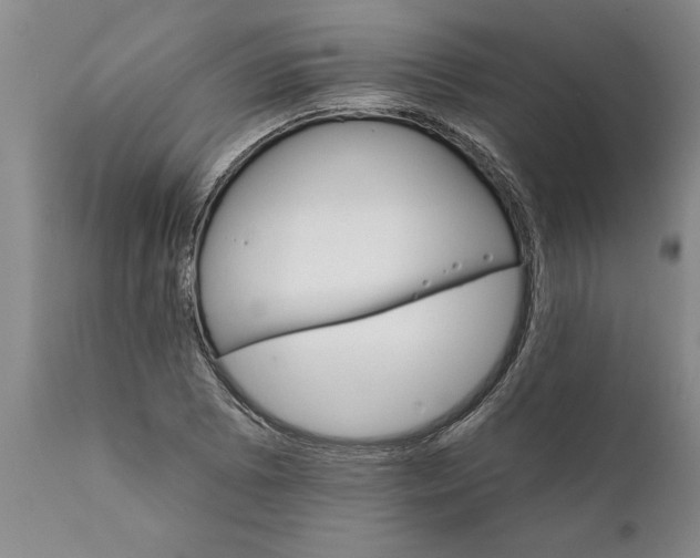 X0000111911073200908171256