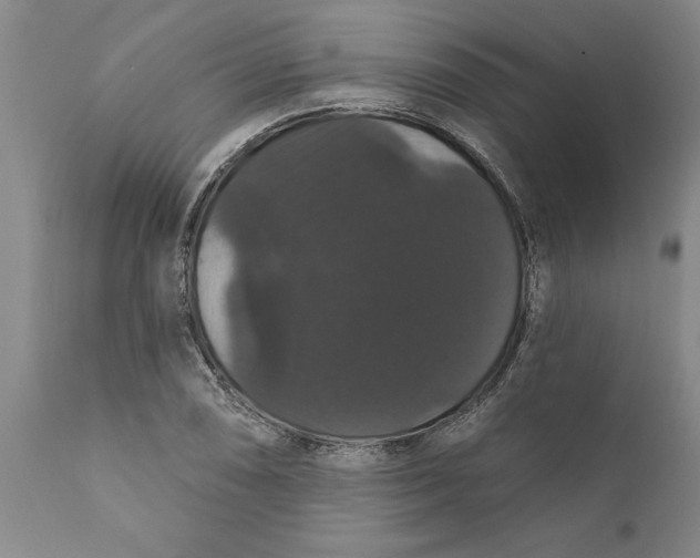 X0000111911074200908171256