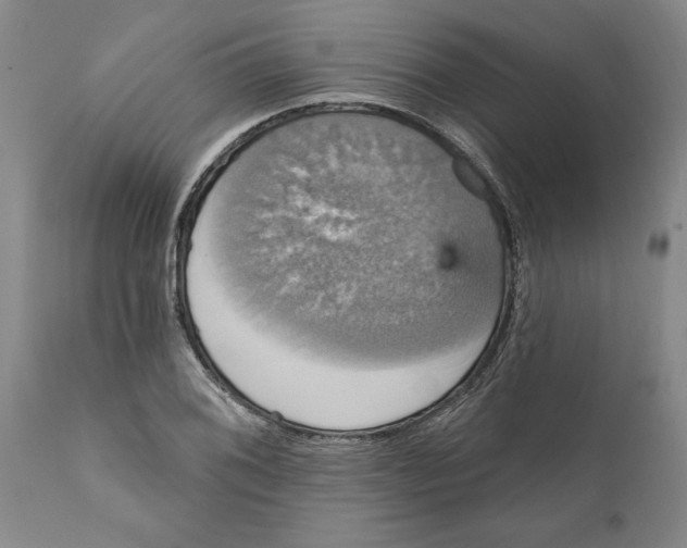 X0000111911076200908171256