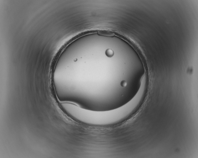 X0000111911077200908171256