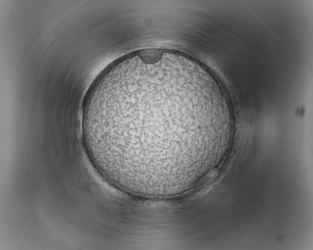 X0000111911079200908171256