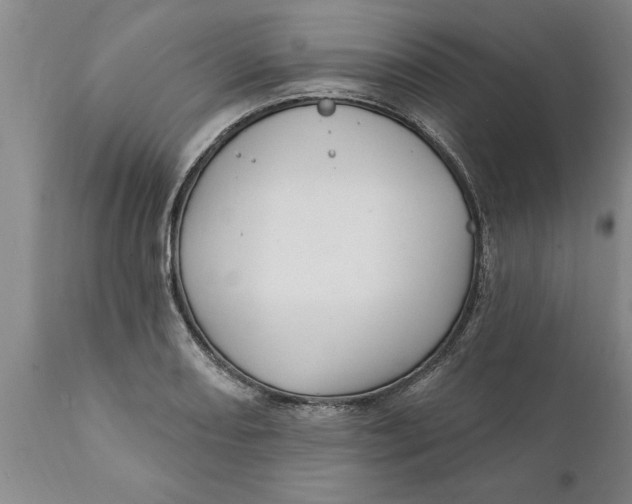 X0000111911082200908171256