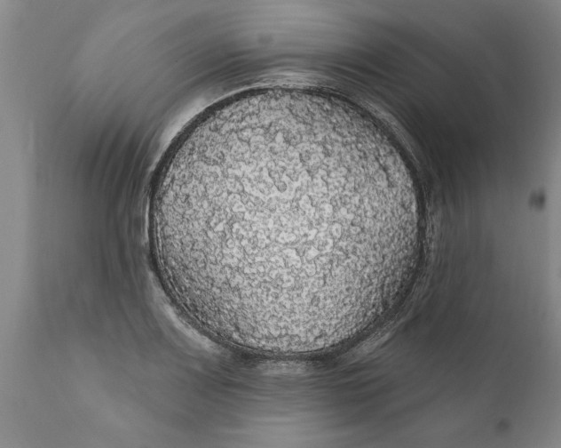 X0000111911083200908171256