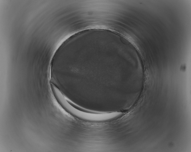 X0000111911084200908171256