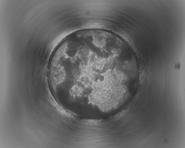 X0000111911086200908171256