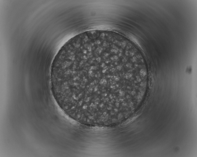 X0000111911087200908171256