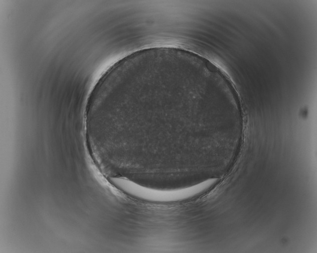 X0000111911088200908171256