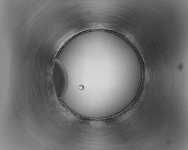 X0000111911089200908171256