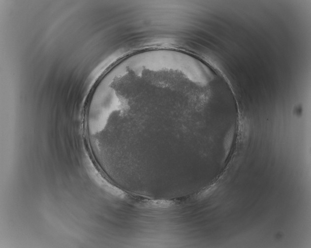 X0000111911090200908171256