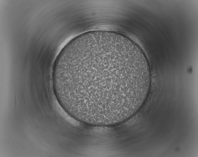 X0000111911091200908171256