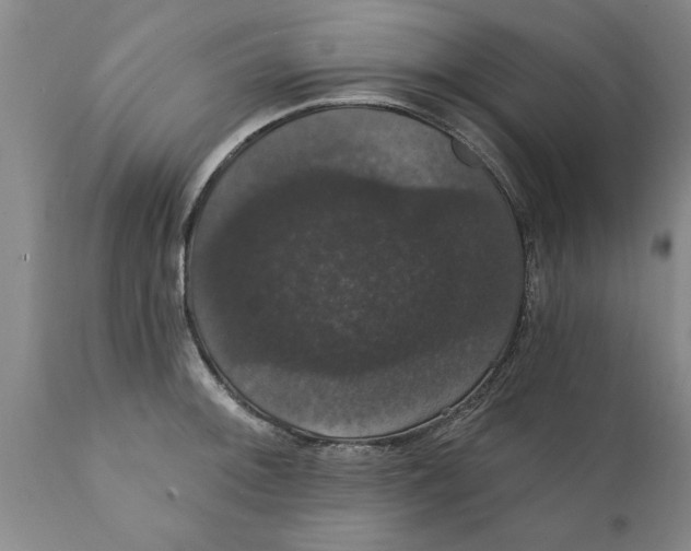 X0000111911092200908171256