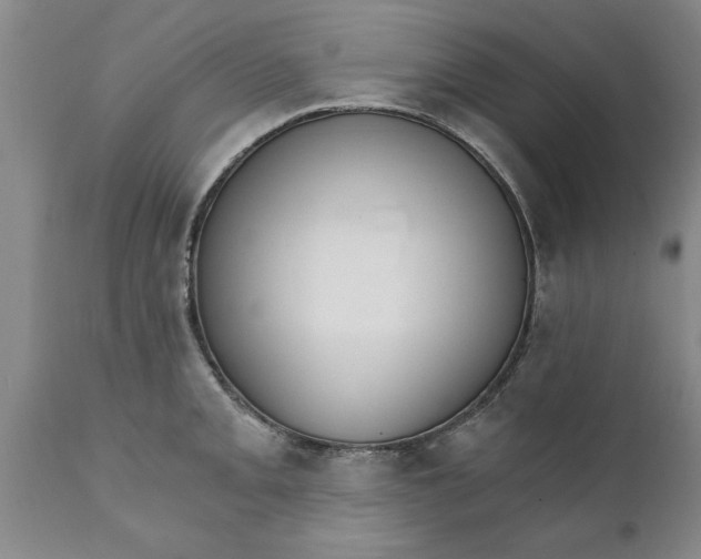 X0000111911093200908171256