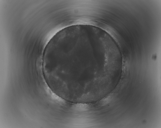 X0000111911094200908171256