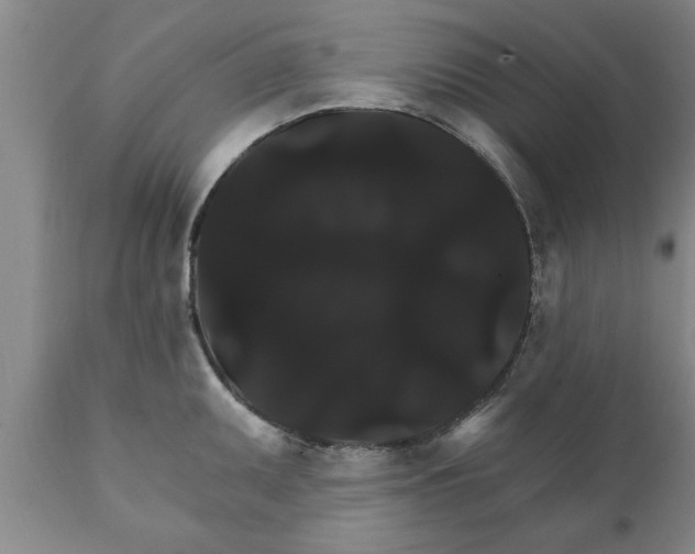 X0000111911095200908171256