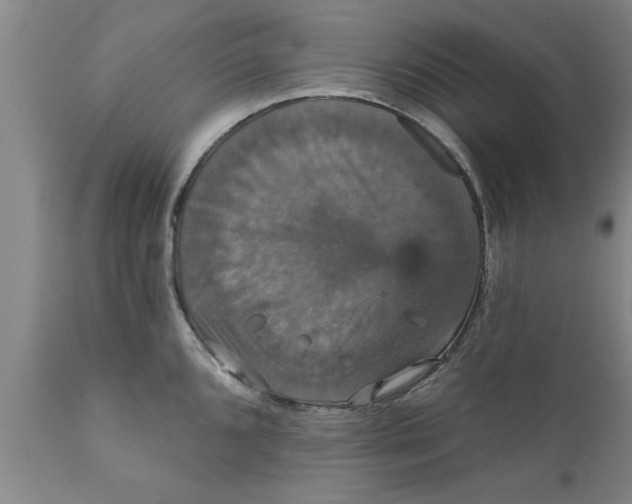 X0000111911096200908171256