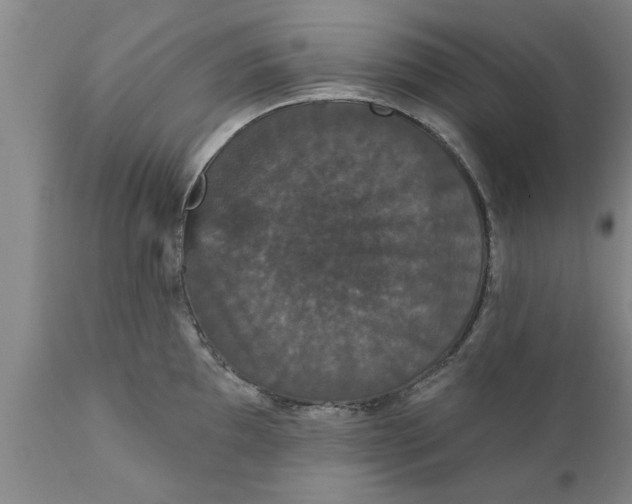 X0000111911097200908171256