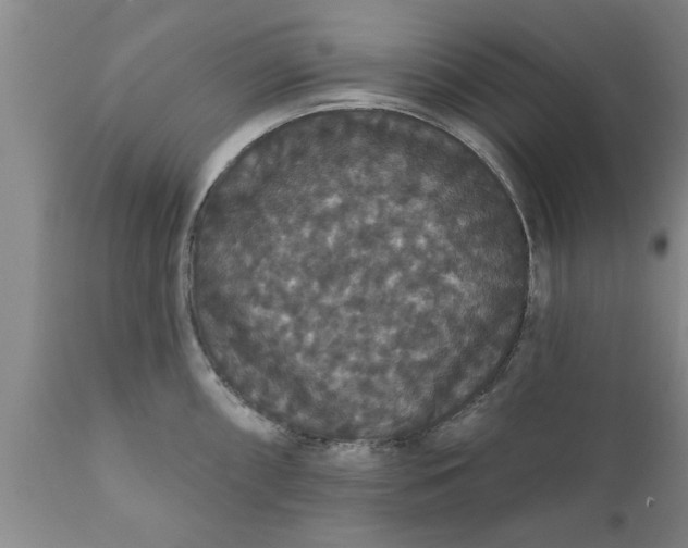 X0000111911098200908171256