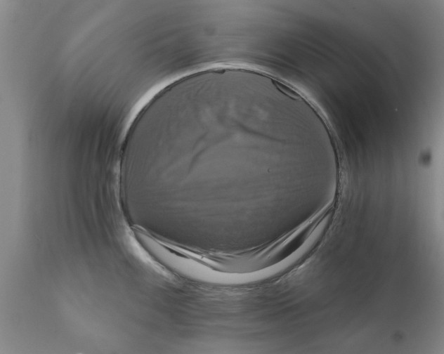 X0000111911100200908171256