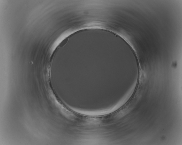 X0000111911101200908171256