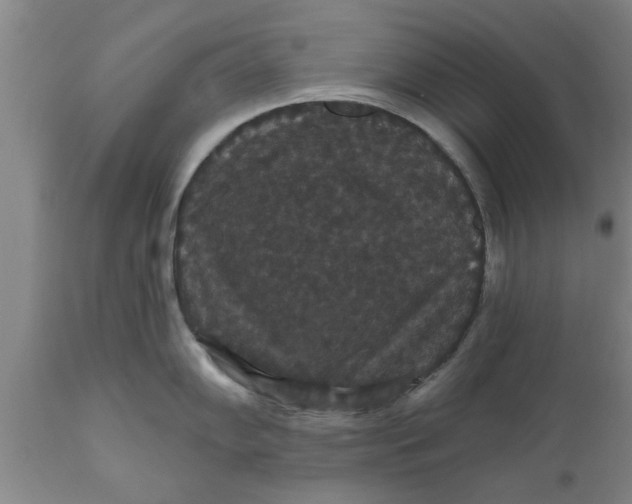 X0000111911102200908171256