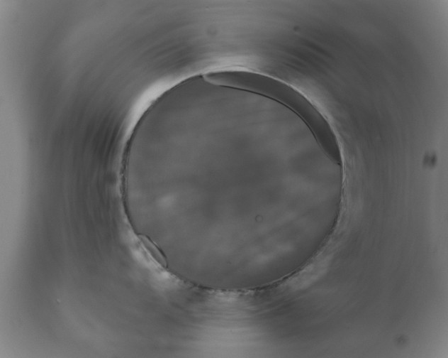 X0000111911104200908171256