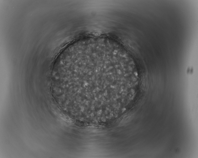 X0000111911105200908171255