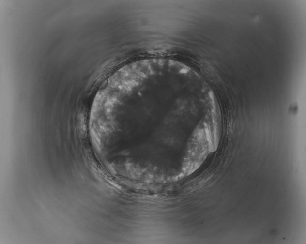 X0000111911106200908171255