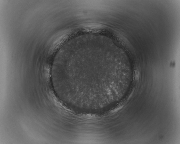 X0000111911108200908171255