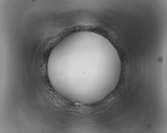 X0000111911109200908171255