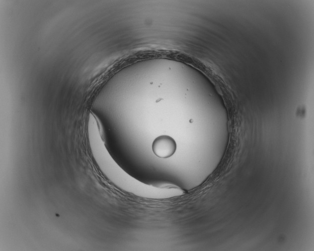 X0000111911110200908171255