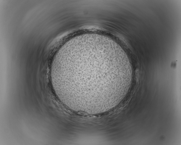 X0000111911111200908171255