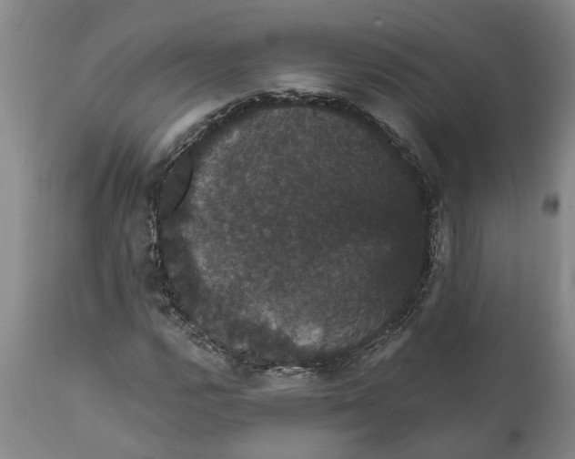 X0000111911112200908171255