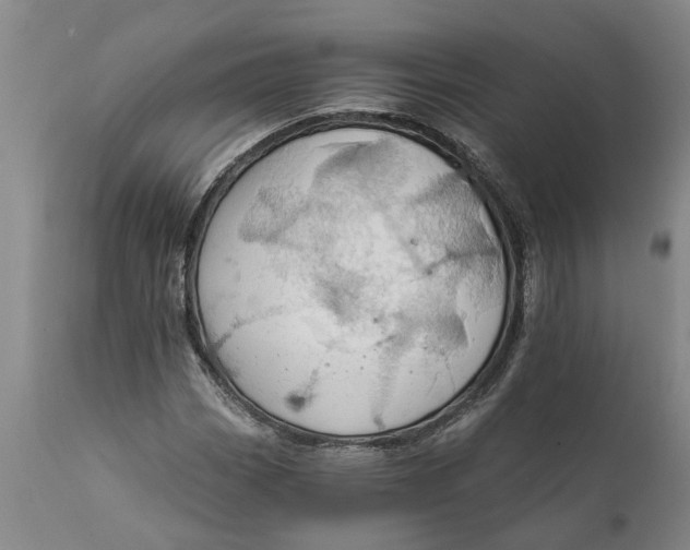 X0000111911113200908171255