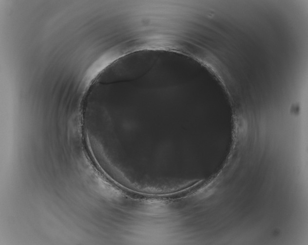 X0000111911114200908171256