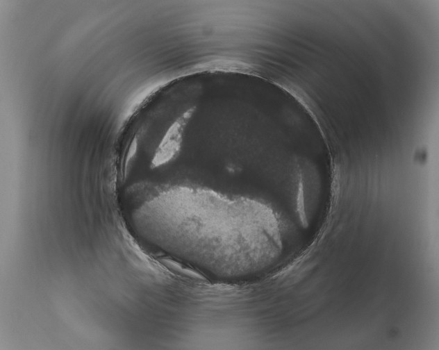 X0000111911115200908171256