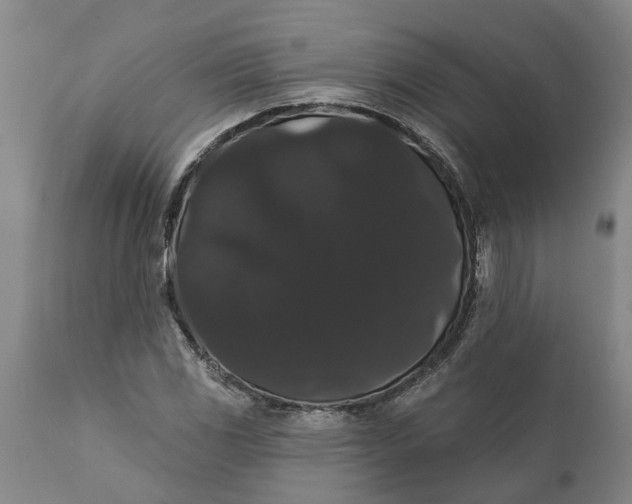 X0000111911117200908171256