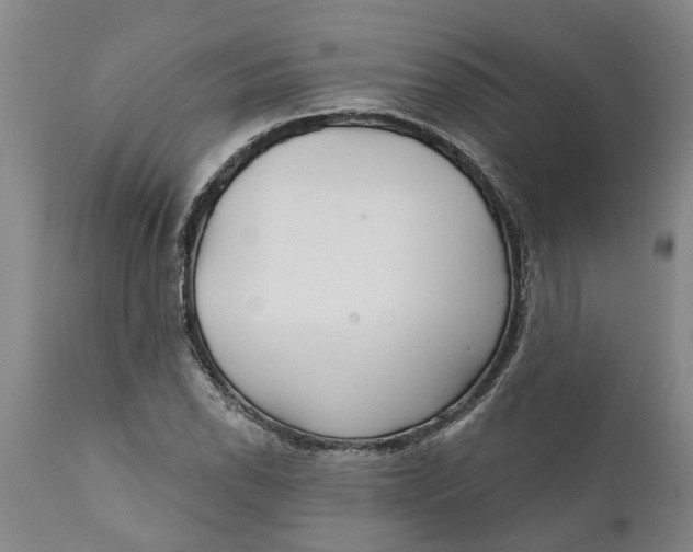 X0000111911118200908171256