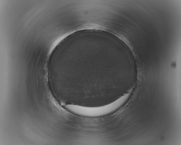 X0000111911120200908171256