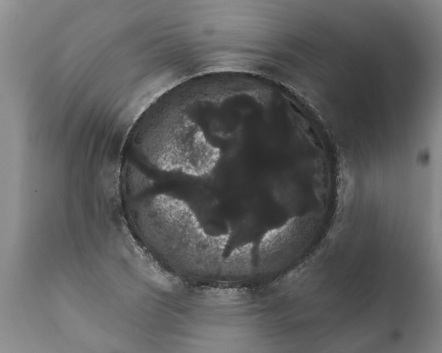 X0000111911121200908171256