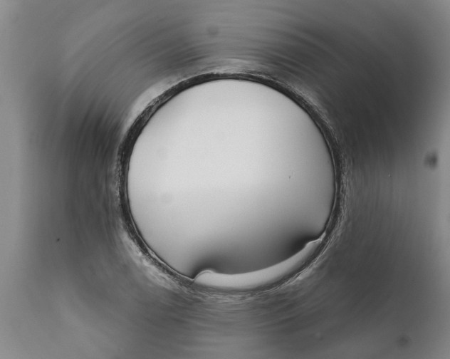 X0000111911122200908171256