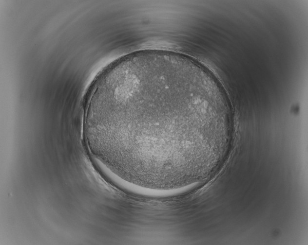 X0000111911123200908171256