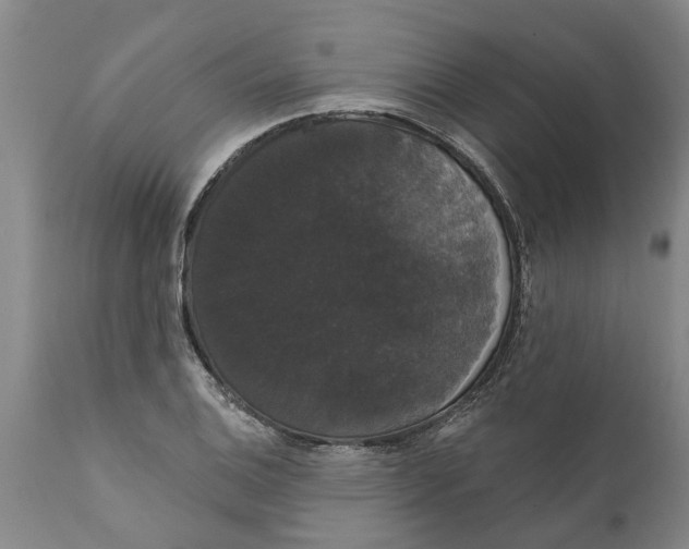 X0000111911124200908171256