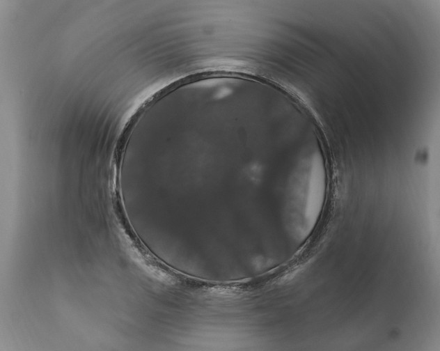 X0000111911125200908171256