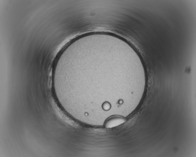 X0000111911126200908171256