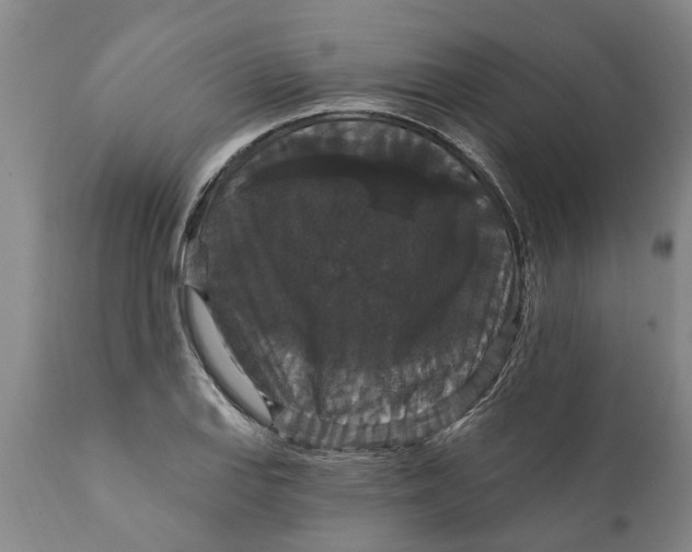 X0000111911127200908171256