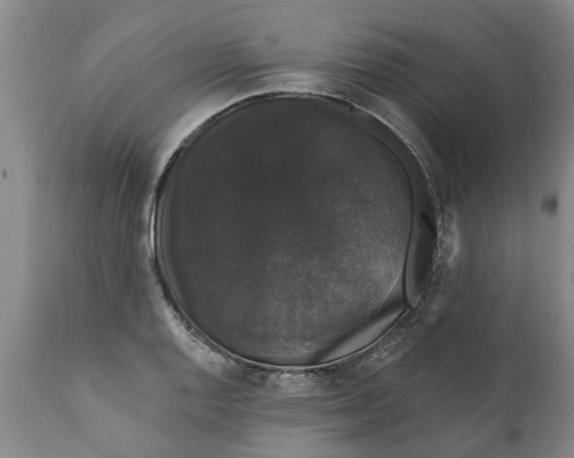 X0000111911128200908171256