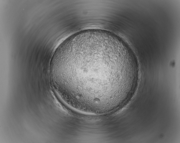 X0000111911129200908171256