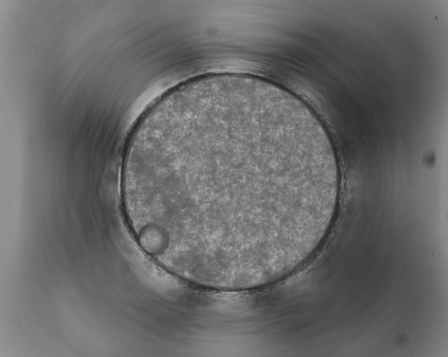 X0000111911130200908171256